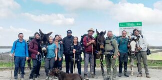 A Reggio Emilia l’asino di Pantelleria al centro dell’offerta turistica