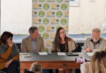 Comunità energetiche