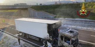 Bassano del Grappa, incendio sulla SPV: 92.000 pulcini morti in un camion in fiamme incendio camion SPV pulcini