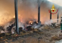 Incendio capannone a Rosà: vigili del fuoco in azione per domare le fiamme incendio capannone rosà