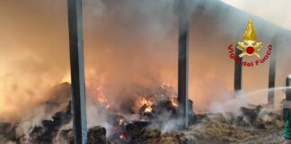 Incendio capannone a Rosà: vigili del fuoco in azione per domare le fiamme incendio capannone rosà