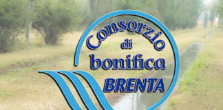 Consorzio di bonifica Brenta, nominato il Commissario. Camani (Pd): “Situazione umiliante per colpa della Lega” consorzio bonifica del Brenta nominato commissario straordinario