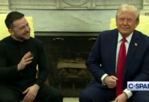 ViPiu.it: ecco il video completo dell’incontro-scontro tra presidente USA Trump, vicepresidente Vance e presidente ucraino Zelensky Trump Zelensky Vance, ViPiu.it: il video dello scontro