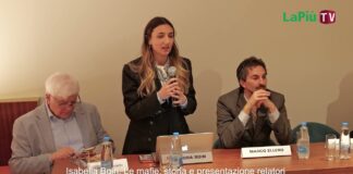 Mafie, il video della tavola rotonda di VicenzaPiù Viva: Coviello introduce e Boin “modera” Ellero, Zanettin, Pretto, Colombara e Mazzaro Mafie, Boin e Coviello: Zanettin, Pretto, Mazzaro, Colombara, Ellero