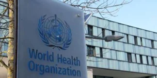 Tubercolosi torna a far paura in Europa, l’allarme: “+10% casi tra i bimbi” tubercolosi