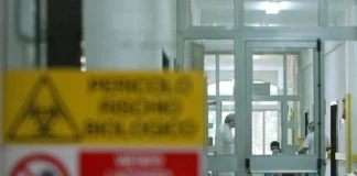 Aviaria, l’allarme: “C’è rischio che diventi pandemia come il Covid” aviaria