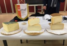 Thiene, la storia della “Civiltà del Latte” in un libro: presentazione il 22 gennaio thiene formaggio civiltà del latte