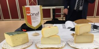 Thiene “Città del formaggio 2025”: corso per diventare assaggiatori thiene formaggio