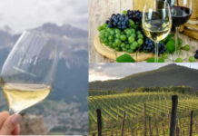 L’on. Sergio Berlato plaude alle misure della Commissione europea a sostegno del settore vitivinicolo commissione europea, normative a sostegno del settore vitivinicolo