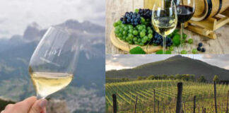 L’on. Sergio Berlato plaude alle misure della Commissione europea a sostegno del settore vitivinicolo commissione europea, normative a sostegno del settore vitivinicolo