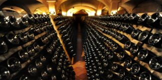 Partnership tra Ismea e il Consorzio DOC delle Venezie per il futuro del vino