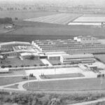 Agroalimentare, pisellini primavera Findus compiono 60 anni