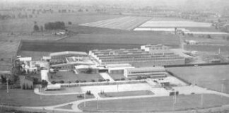 Agroalimentare, pisellini primavera Findus compiono 60 anni