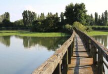 Consorzio di bonifica Brenta a rischio commissariamento. Camani e Luisetto (Pd): “Lega metta da parte beghe” Consorzio bonifica Brenta