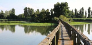 Consorzio di bonifica Brenta a rischio commissariamento. Camani e Luisetto (Pd): “Lega metta da parte beghe” Consorzio bonifica Brenta