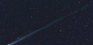 Arriva la ‘cometa del primo maggio’, ecco picco di luminosità di Swan