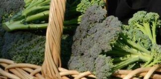 Broccoli superfood anti-aging, tutti i segreti svelati dall’immunologo-nutrizionista