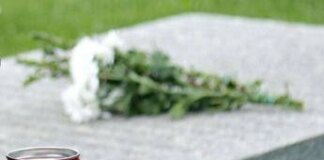 Cani e gatti seppelliti con i padroni, a Pescara c’è il via libera