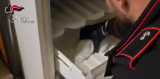 Nascondeva pistola e munizioni nel freezer, arrestato 55enne in provincia di Reggio Calabria