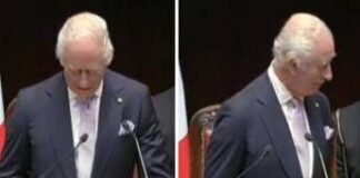 Carlo e il discorso alla Camera: “Cerimonia finita”. Anzi, no – Video