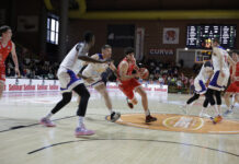 Civitus Vicenza da sogno a Casale, Velcofin Interlocks Vicenza chiude con l’amaro in bocca ma salva la categoria Civitus Vicenza