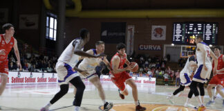 Civitus Vicenza da sogno a Casale, Velcofin Interlocks Vicenza chiude con l’amaro in bocca ma salva la categoria Civitus Vicenza