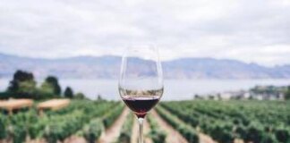 Dazi, tra timori e nuove strategie, dal mondo del vino le testimonianze dei Consorzi da Nord a Sud