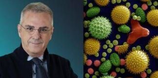 Diventare allergici dopo i 40 anni, ecco perché succede sempre più spesso