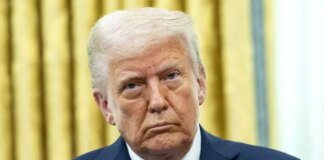 Usa-Egitto, colloquio Trump con Al Sisi “Abbiamo discusso di Gaza e degli Houthi”