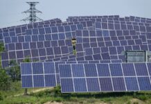 Maxi impianto fotovoltaico a Rosà, il no di Bizzotto (Lega): “Impatto devastante su paesaggio e agricoltura”. Presentata interrogazione impianto fotovoltaico a thiene, interrogazione on pretto inmpianto fotovoltaico a Rosà