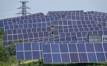 Energie rinnovabili, Cendron (LVC) attacca Rucco: “Difende modelli energetici e produttivi superati, costosi e senza futuro” impianto fotovoltaico a thiene, interrogazione on pretto inmpianto fotovoltaico a Rosà energie rinnovabili