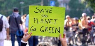 Fridays for Future, oggi 20 città scendono in piazza per il clima