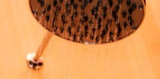 Guerra di Trump ai soffioni della doccia “deboli”, ecco la nuova legge del tycoon