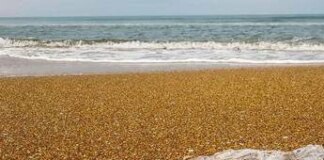 Indagine Beach Litter, peggiorato il grado di pulizia delle spiagge