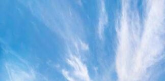 Lidl raggiunge il 6% del mercato Gdo Italia