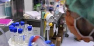 Mieloma multiplo, in Italia primo anticorpo bispecifico con target Gprc5d