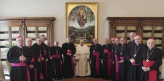 Vicenza e il Veneto salutano Papa Francesco: “Una guida coraggiosa, voce degli ultimi e ponte tra i mondi” Papa Francesco, visita ad limina a Roma dei vescovi del Triveneto, febbraio 2024