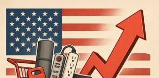 Prezzi Temu raddoppiati dai dazi di Trump: i più colpiti