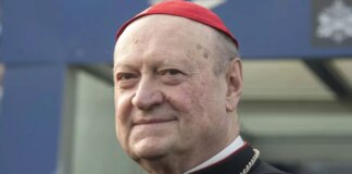 Inizia la Congregazione dei Cardinali, Ravasi “Giornata organizzativa, procedure più snelle”