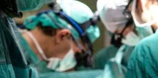 Ricerca, al Bambino Gesù fegati tenuti in vita per studi su malattie metaboliche