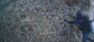 Ripristino barriere coralline, su Prime Video il documentario Reef Builders