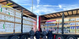 Venezia: Maxi sequestro di farmaci illegali per 2.3 milioni al porto di Fusina Sequestro farmaci Venezia