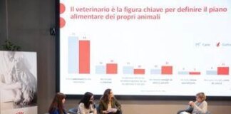 Survey, italiani attenti a benessere di cani e gatti ma tanti falsi miti