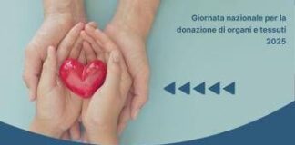 Trapianti, allarme anestesisti: “Il 40% degli italiani dice no alla donazione di organi”