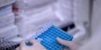 Tumori Lazio, 5 proposte per rispondere ai bisogni dei pazienti ematologici