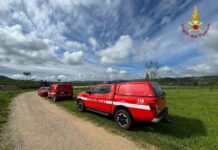 Vigili del Fuoco in Veneto: Cisl lancia l’allarme, carenza di personale mette a rischio la sicurezza Vigili del Fuoco Veneto