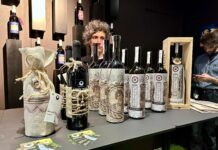 Cantine archeologiche: nasce a Vinitaly l’associazione nazionale con sede in Valpolicella. Zaia: “Un patto tra storia, paesaggio e impresa” Cantine archeologiche: nasce associazione nazionale a Valpolicella