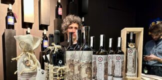 Cantine archeologiche: nasce a Vinitaly l’associazione nazionale con sede in Valpolicella. Zaia: “Un patto tra storia, paesaggio e impresa” Cantine archeologiche: nasce associazione nazionale a Valpolicella