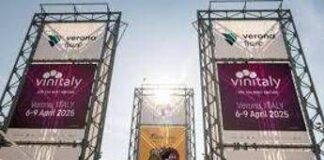 Vinitaly, Ismea: “Vino ruolo di punta sui mercati, in 10 anni +50% valore export”