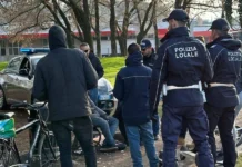 Vicenza, controlli antidroga tra Campo Marzo, Giardino Salvi e Parco Fornaci: denunciato un pusher e segnalati quattro assuntori campo marzo Vicenza controlli antidroga nelle aree verdi